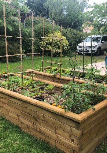 Raised beds-germany