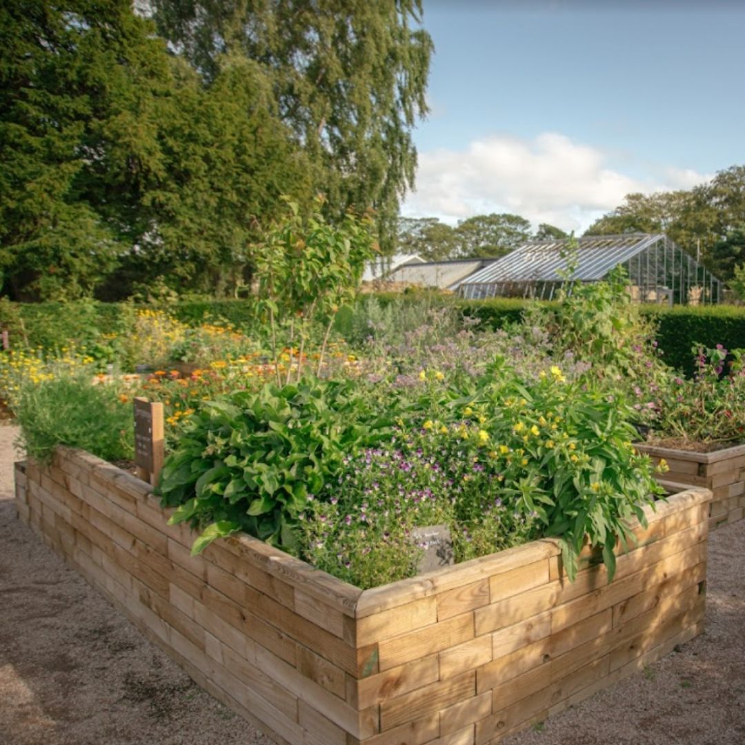 Giant planter