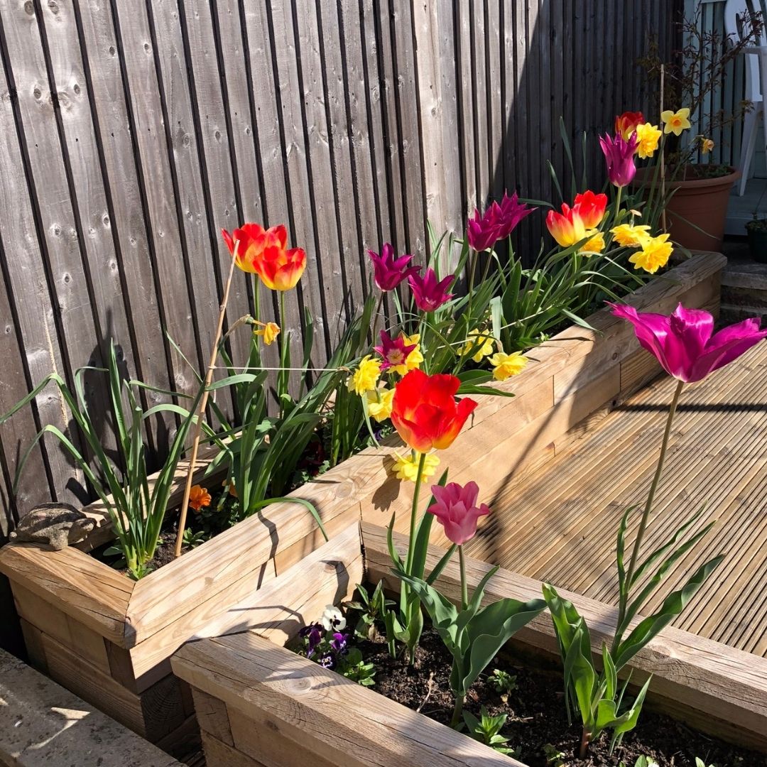 Narrow planter box